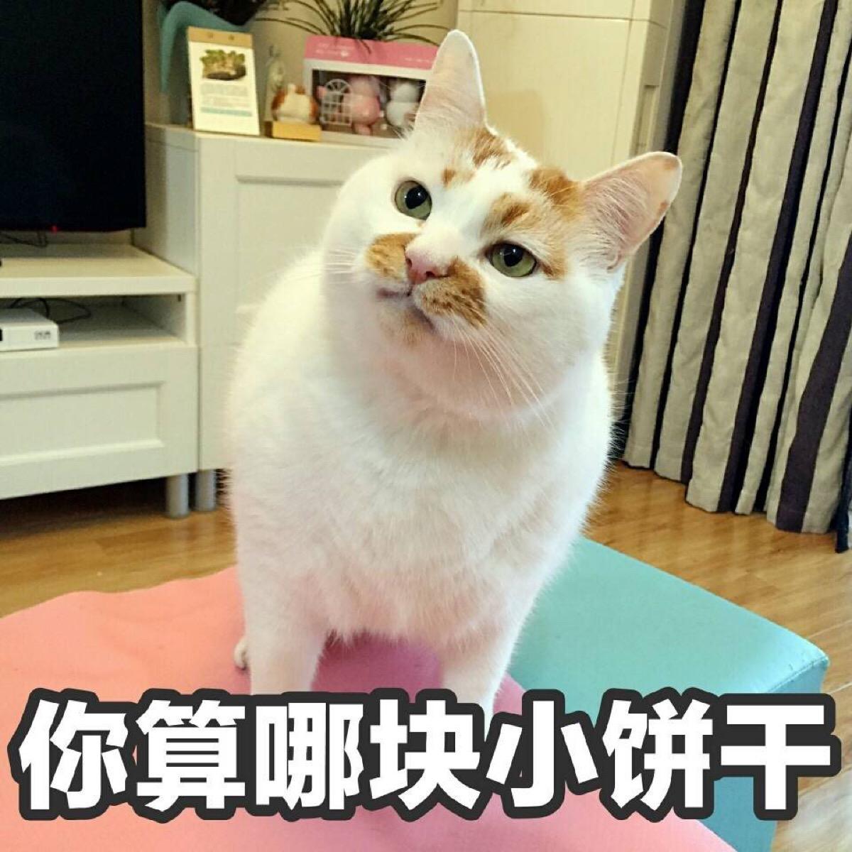 给你饼干棒是什么意思网络用语