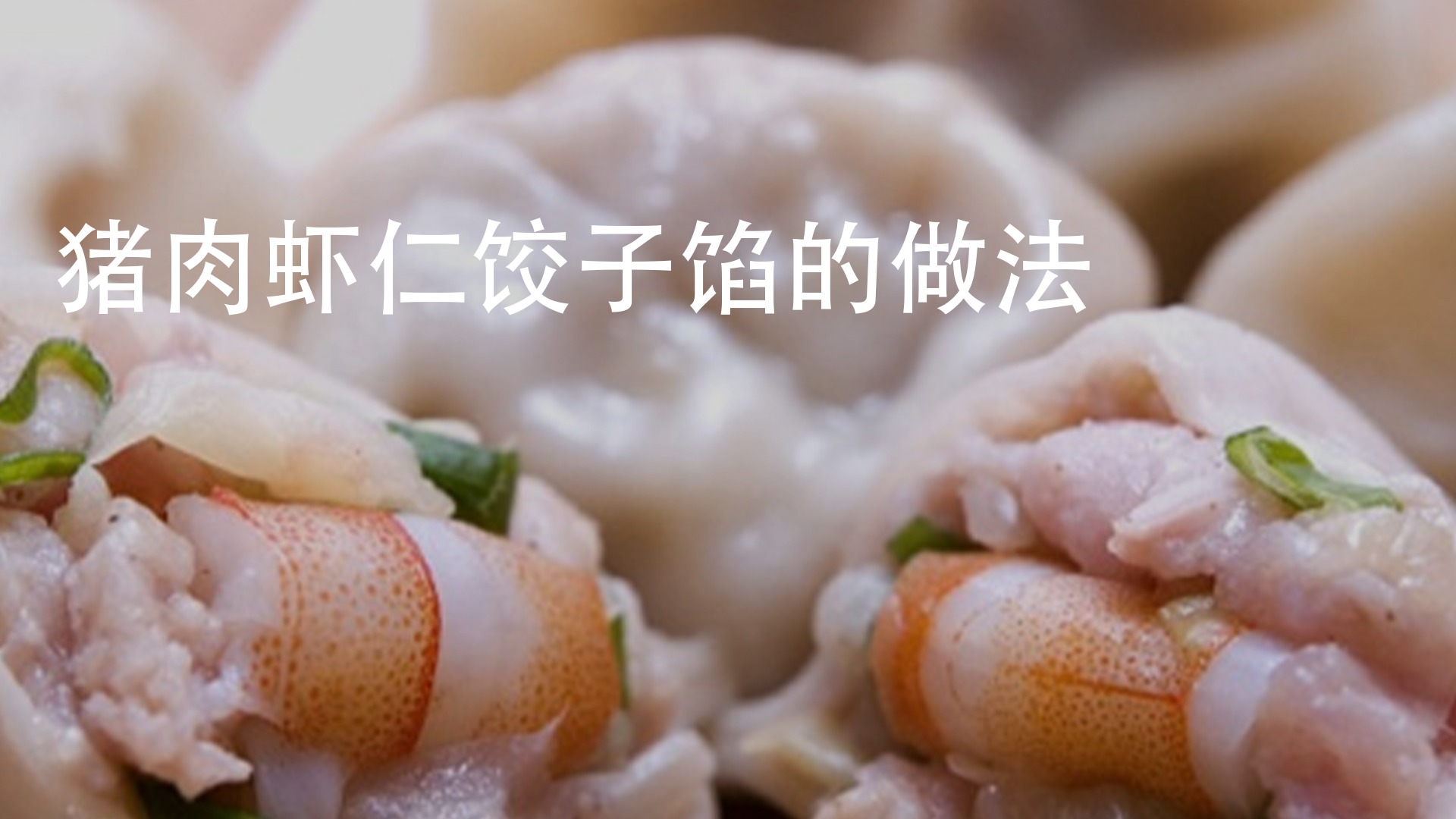 猪肉饺子馅做法大全图片